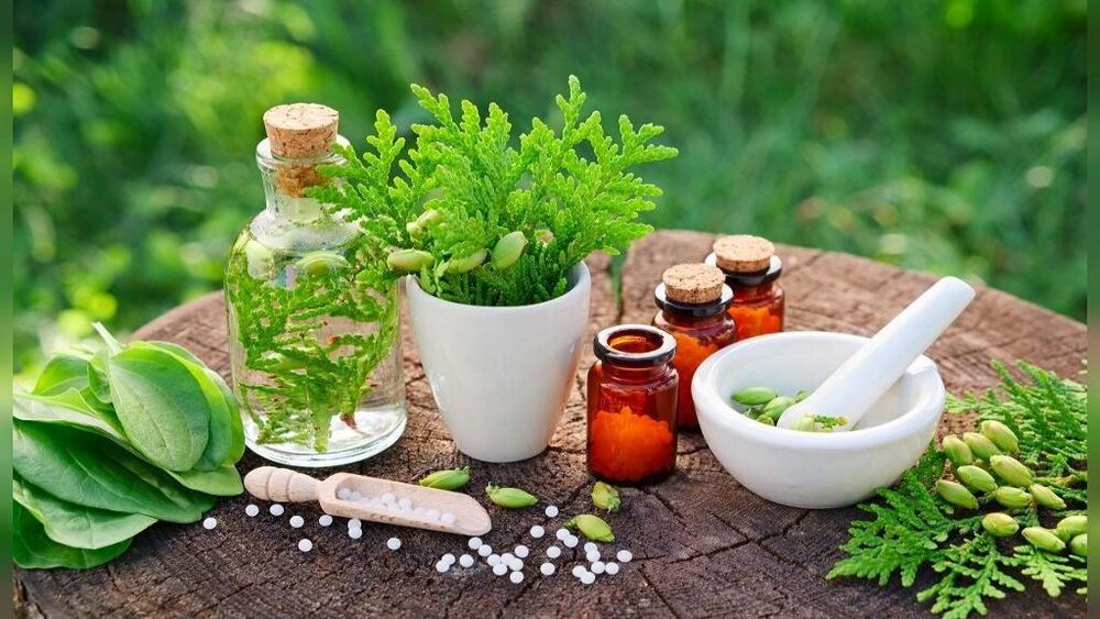 Role of medicinal plants in the alleviation of constipation